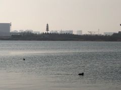 -郑东新区龙湖公共艺术中心