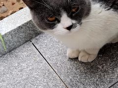 -心仪动物医院·牙专科·肿瘤·心脏科(西客站院)