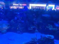 -成都浩海立方海洋公园