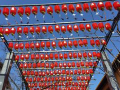 -亭林园-华藏寺