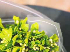 -亭亭鲜花店(中山北路店)
