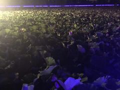 -羊亭河湿地公园