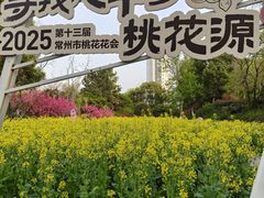 -圩墩遗址公园