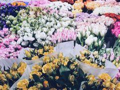 -双季花艺园艺市场(浦东店)