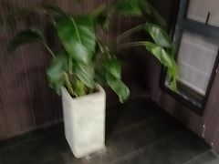 -阿伟海鲜楼·福建菜(涵江店)