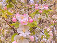 -元大都城垣遗址公园