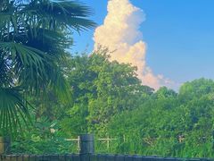 -上海玛雅海滩水公园