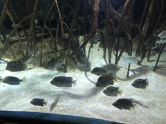 -福州罗源湾海洋世界旅游区