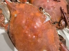 -北塘海鲜·天津菜(大光明桥旗舰店)
