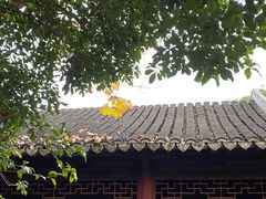 -秋霞圃