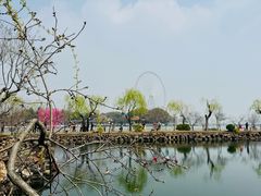 -无锡蠡湖国家湿地公园-蠡园