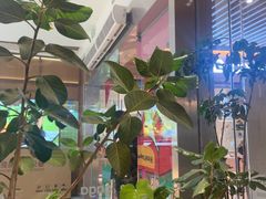 -gaga(深圳福田星河COCO Park店)