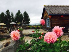 -北极村旅游风景区