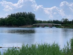 -大兴滨河森林公园