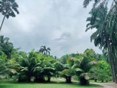 -中国科学院西双版纳热带植物园