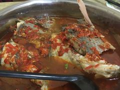 -风鑫铃罗非鱼(道沟店)