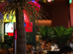 -墨纪Mojí墨西哥餐厅(南开大悦城店)