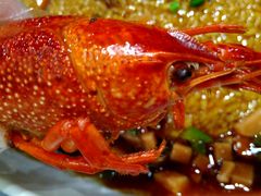 -虎虎龙虾大排档(双井店)