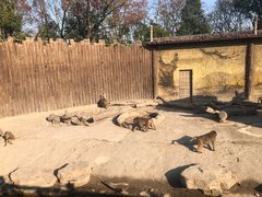 -上海野生动物园
