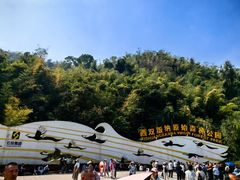 -西双版纳原始森林公园