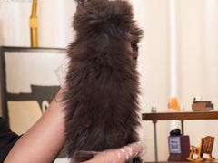-小猫来了·猫舍(红山六九七九店)