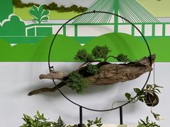 -杭州植物园