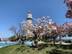 -悦海公园