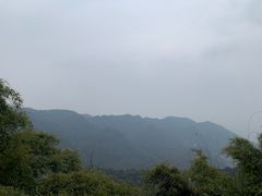 -南山植物园