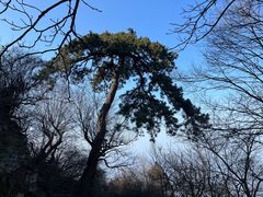 -终南山南五台景区