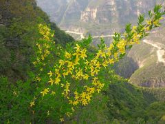 -山西通天峡景区