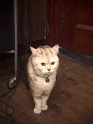 -TWOFACE双面理发馆