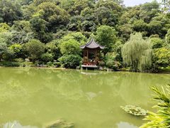 -云溪植物园