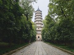 -灵谷景区