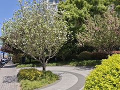 -杨高南路(地铁站)