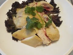 -西院1号(龙井店)