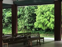 -世界洞漂之王老虎谷漂流