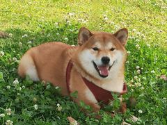 -钟山体育运动公园