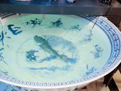 -南京金牛湖巨碗鱼头