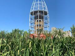 -永定河休闲森林公园