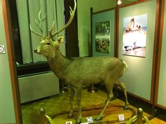 -北海道厅旧本厅舍(旧本庁舎)