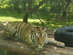 -西安秦岭野生动物园