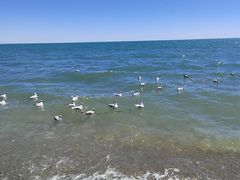 -青海湖国家重点风景名胜区