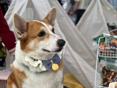 -凯德广场(武胜路店)