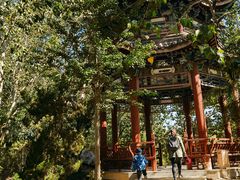 -塘沽森林公园