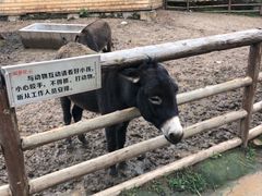 -太原动物园