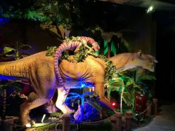 -恐龙探索乐园(磁器口店)