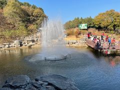 -北京西山国家森林公园