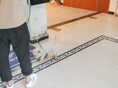 -宠颐生汉谟拉比宠物医院