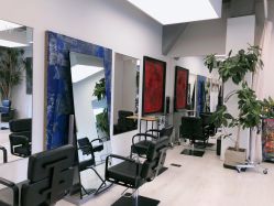 -Hair  Gallery
