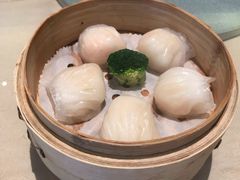 蝦餃-金苑海鲜酒家(来魅力店)